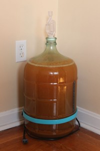 cider-fermenting
