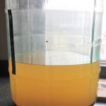 partially-siphoned-cider