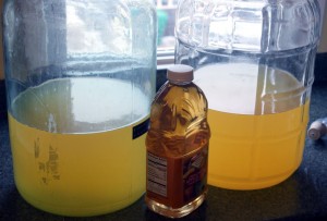 two-carboys-of-cider+apple-juice