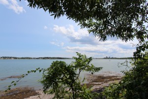 View of Boston Harbor from Grape Island